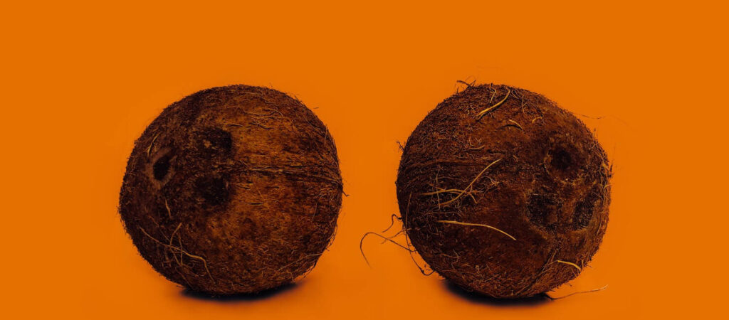 coconuts