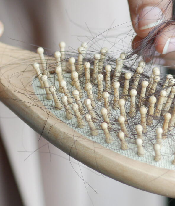 Close-up of hands holding a hairbrush full of hair strands.